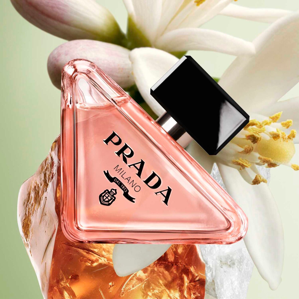 Prada Paradoxe — packshot officiel